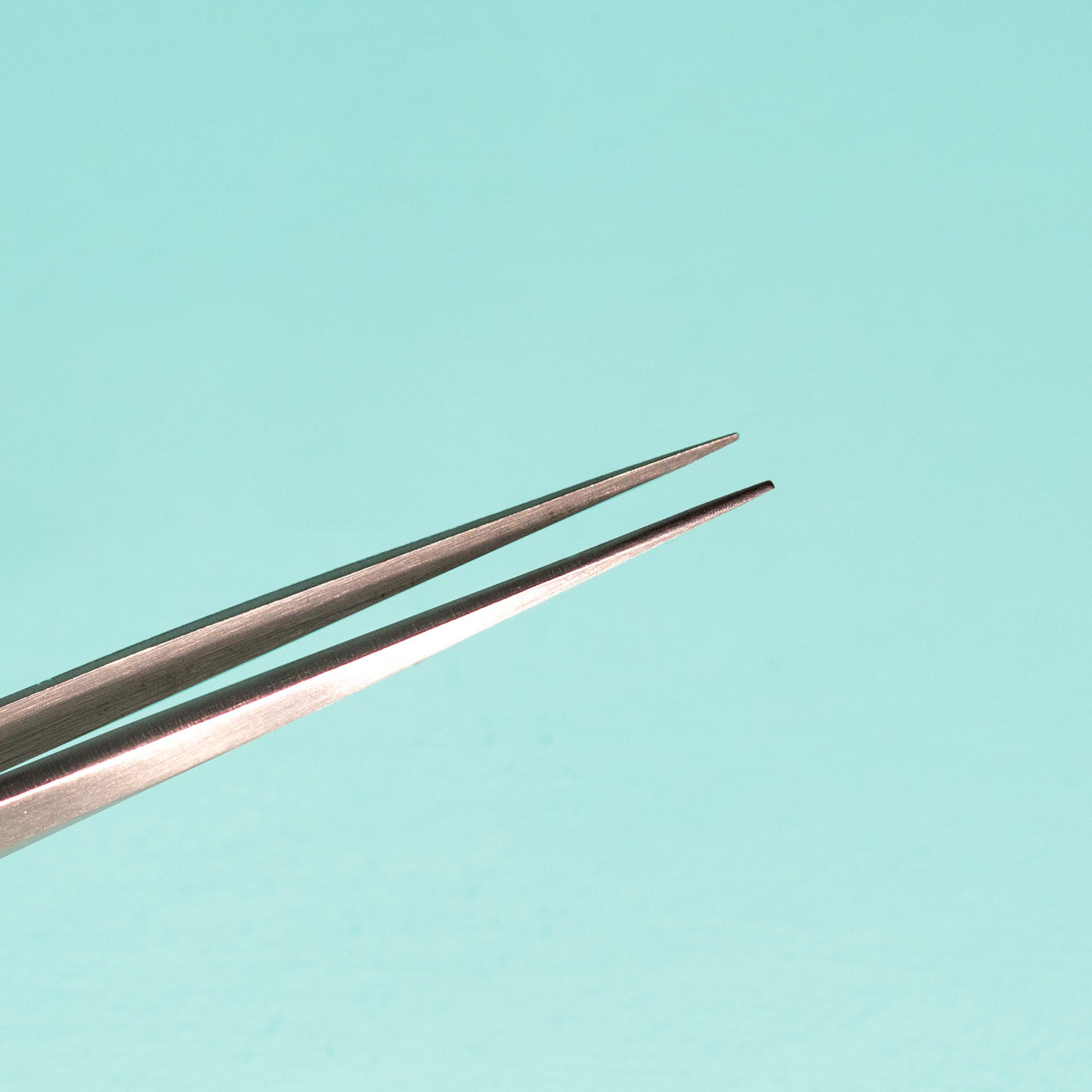 On-Point Individual Straight Tweezers